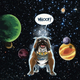 Illustration for article titled 10 Greatest Superhero Dogs!
